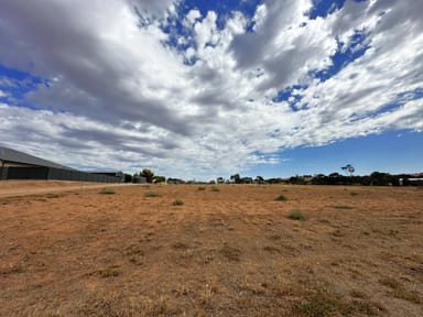 Property Allotment 54 John Street, Crystal Brook SA 5523 IMAGE 0