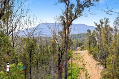 Property 82 DP 819379, 438 Cobargo Bermagui Rd, Coolagolite NSW 2550 IMAGE 0