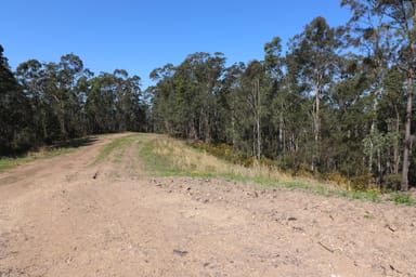 Property Lot 41 Collombatti Road, Collombatti NSW 2440 IMAGE 0