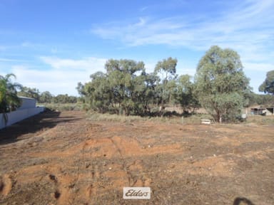Property 42 Nixon Street, Euston NSW 2737 IMAGE 0