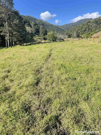 Property Lot 271 Dip Road, Running Creek QLD 4287 IMAGE 0