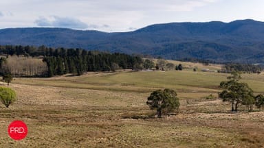 Property 362 Kain Cross Road, Krawarree NSW 2622 IMAGE 0