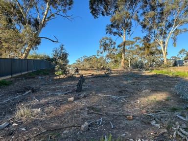 Property 52 Boyce Street, Avoca VIC 3467 IMAGE 0