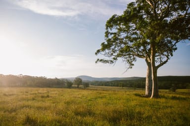 Property Wingello NSW 2579 IMAGE 0