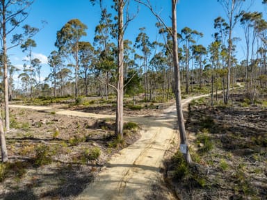 Property 3 & 4 Delantys Road, Birralee TAS 7303 IMAGE 0
