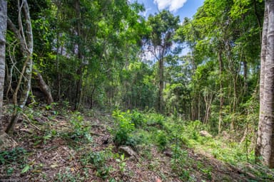 Property 8 Barklya Close, KAMERUNGA QLD 4870 IMAGE 0