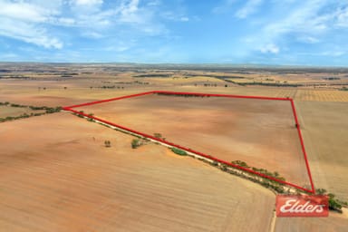 Property Lot 443 Richter Road, Reeves Plains SA 5502 IMAGE 0