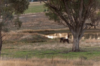 Property Lot 2 Wynyard Hill, Springvale NSW 2650 IMAGE 0