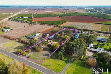 Property 172 Walla Avenue, Griffith NSW 2680 IMAGE 0