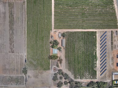 Property 32 Plushsbend Road, Renmark SA 5341 IMAGE 0