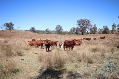 Property 'Beeron' Beeron Road, Beeron, MUNDUBBERA QLD 4626 IMAGE 0