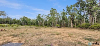 Property Lot 25 Hain Road, CANNING CREEK QLD 4357 IMAGE 0