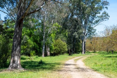 Property 55 Merri Meadows Lane, MERRIANG SOUTH VIC 3737 IMAGE 0