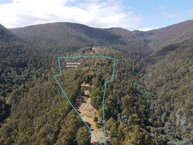 Property Lot 5 Liddells Road, CRABTREE TAS 7109 IMAGE 0