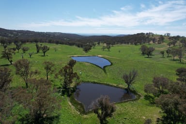 Property 195 Burges Road, CALOOLA NSW 2795 IMAGE 0