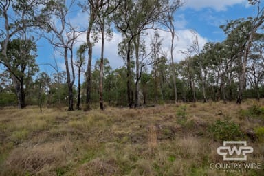 Property 56, Torrington Road, TORRINGTON NSW 2371 IMAGE 0