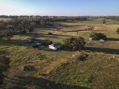 Property "Creekview" Newell Highway, ALECTOWN NSW 2870 IMAGE 0