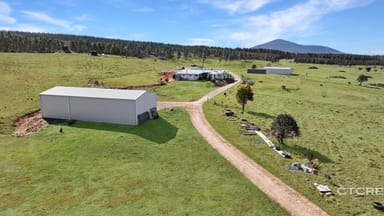 Property 1458 Bendoc-Orbost Road, Bendoc VIC 3888 IMAGE 0