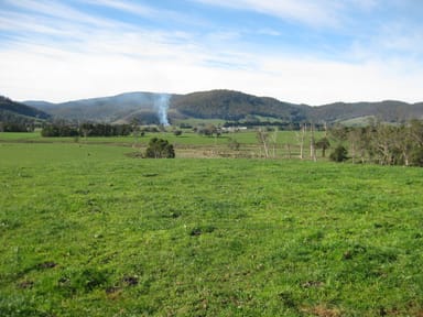 Property 28050 Tasman Highway, PYENGANA TAS 7216 IMAGE 0