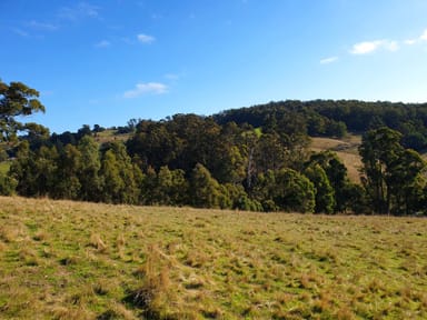 Property Lot 5 Wallace Road, CYGNET TAS 7112 IMAGE 0