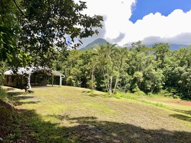 Property 69 Carbeen Road, Diwan, DAINTREE QLD 4873 IMAGE 0