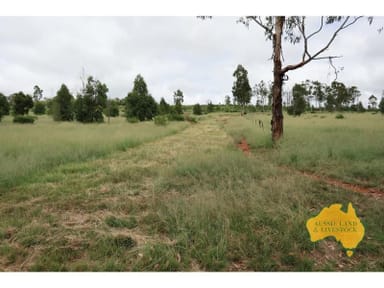 Property 1377 Dangore Mountain Road, DANGORE QLD 4610 IMAGE 0