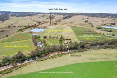 Property 15094 Tasman Highway, Cranbrook TAS 7190 IMAGE 0