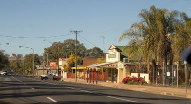 Property 14-16 Wellington Street, Geurie NSW 2818 IMAGE 0