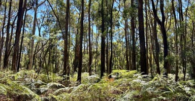 Property 18 Golden Point Road, Trentham VIC 3458 IMAGE 0