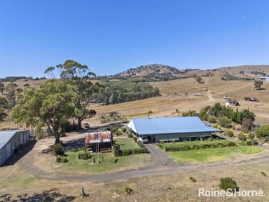 Property 1335 Dairy Flat Road, Tooborac VIC 3522 IMAGE 0