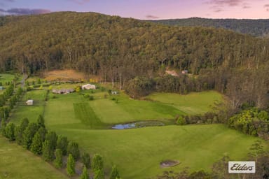Property 41 Amber Lane, Wyong Creek NSW 2259 IMAGE 0