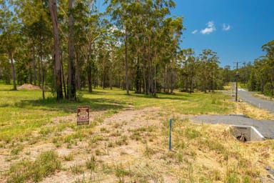 Property Various Lots Inches Rd, VERGES CREEK NSW 2440 IMAGE 0