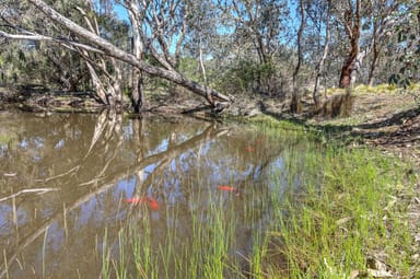 Property Lot 77-79, 131 Prescot Street, Lyndhurst NSW 2797 IMAGE 0