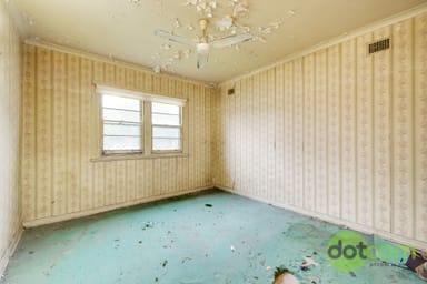 Property 29 Ireland Avenue, MAYFIELD NSW 2304 IMAGE 0