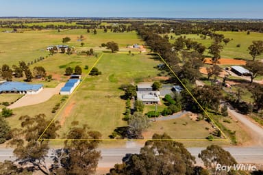 Property 2323 Millwood Road, Coolamon NSW 2701 IMAGE 0