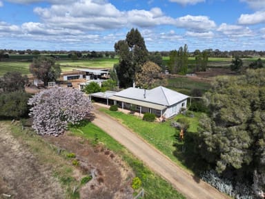 Property 1591 Strathallan Road, BAMAWM VIC 3561 IMAGE 0