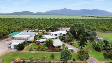 Property 232-240 Bartlett Road, HORSESHOE LAGOON QLD 4809 IMAGE 0