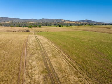 Property 2268 Westbrook Road, Oberne Creek NSW 2650 IMAGE 0