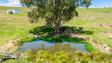 Property "Tom's" Tallys Lane, Tallangatta Valley VIC 3701 IMAGE 0