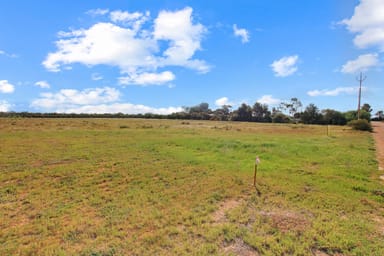 Property Waikerie SA 5330 IMAGE 0