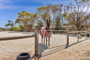 Property 973 Worlds End Highway, Eudunda SA 5374 IMAGE 0