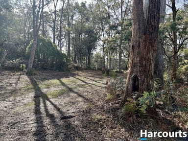 Property 2, 23 Possum Road, BEACONSFIELD TAS 7270 IMAGE 0