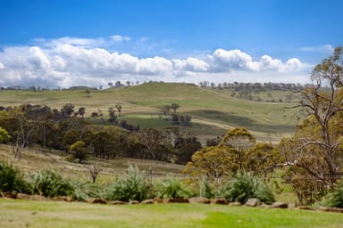 Property 227 Falconer Street, Guyra NSW 2365 IMAGE 0