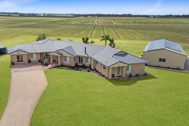 Property 377 Pimlico Road, Pimlico NSW 2478 IMAGE 0