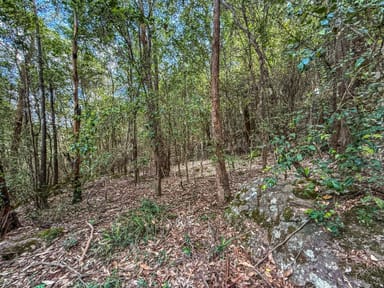 Property Lot 1 Prudence Street, Wollombi NSW 2325 IMAGE 0