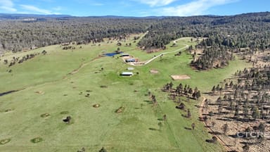 Property 1458 Bendoc-Orbost Road, Bendoc VIC 3888 IMAGE 0