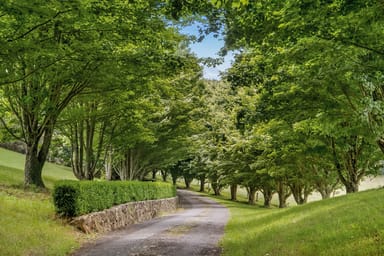Property 801 Kangaroo Valley Road, Bellawongarah NSW 2535 IMAGE 0