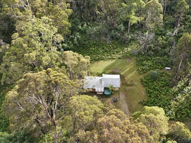 Property 492 Yankees Gap Road, Bemboka NSW 2550 IMAGE 0