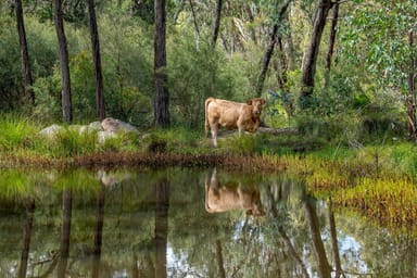 Property Bapaume QLD 4352 IMAGE 0