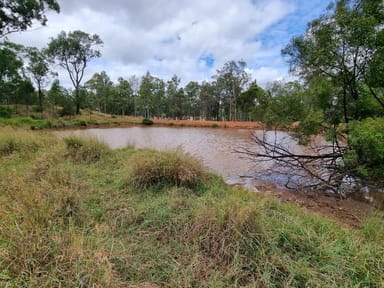 Property 725 Mount Mceuen Road, Wondai QLD 4606 IMAGE 0